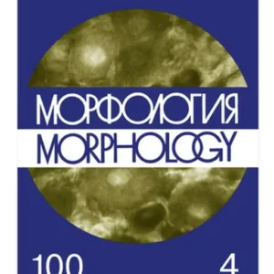 Морфология